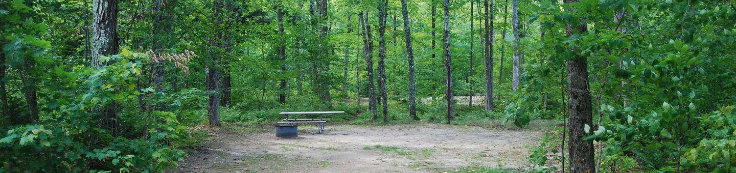 AuTrain Lake Campground site #18 full site view with table, fire pit, and picnic table. 