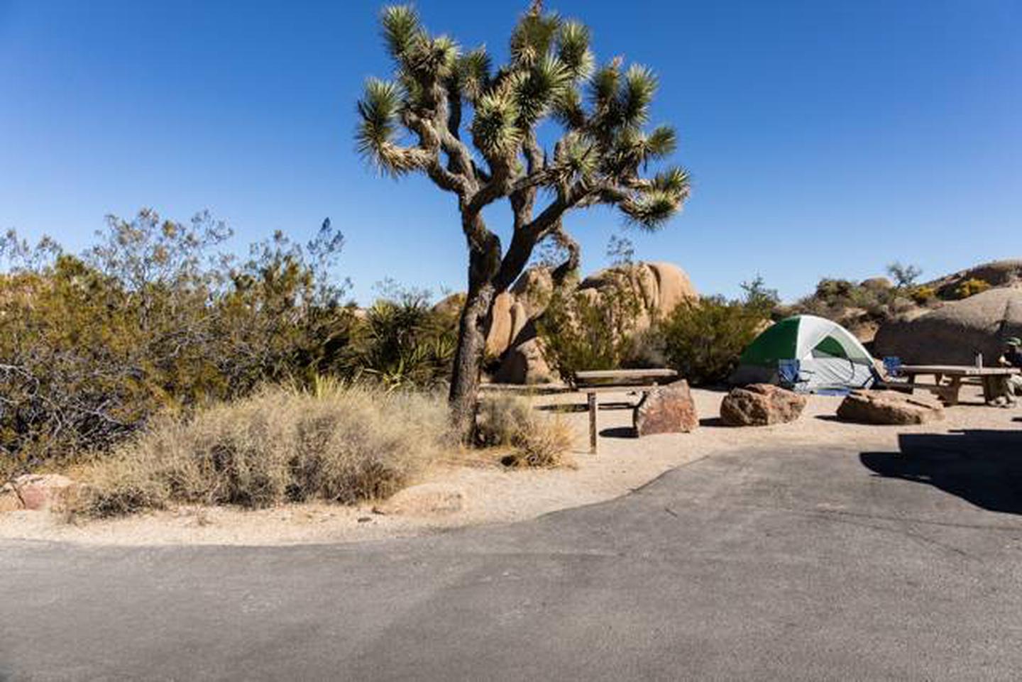 Site 024, Jumbo Rocks Campground - Recreation.gov