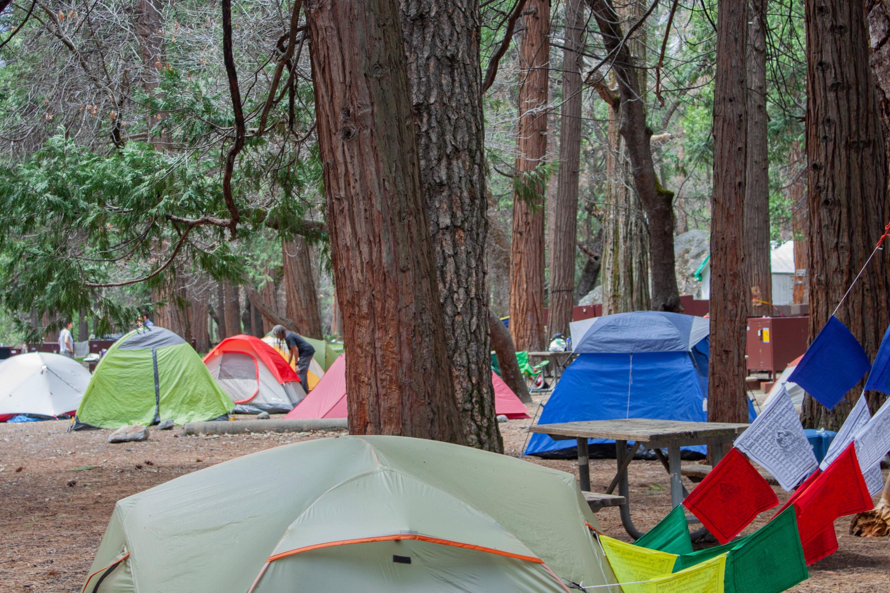 Camp 4, Yosemite National Park - Recreation.gov