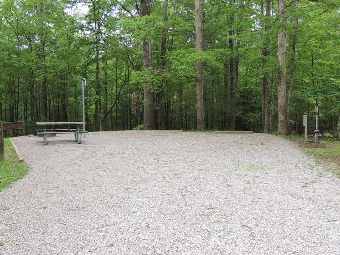 Picnic table sits on gravel tent pad surrounded by green trees.Site 21