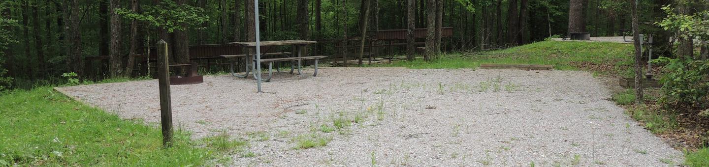 Picnic table sits on gravel tent pad surrounded by green trees.Site 22