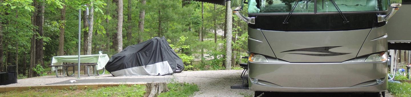 Picnic table sits on gravel tent pad surrounded by green trees.Campground Host Site 6