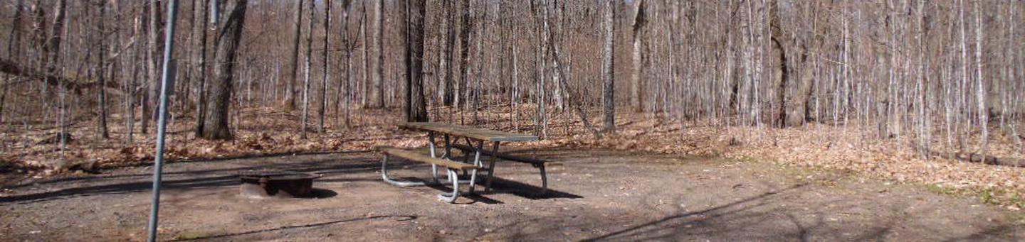Two Lakes Campground site #76 with picnic table and fire pit view among the trees.
