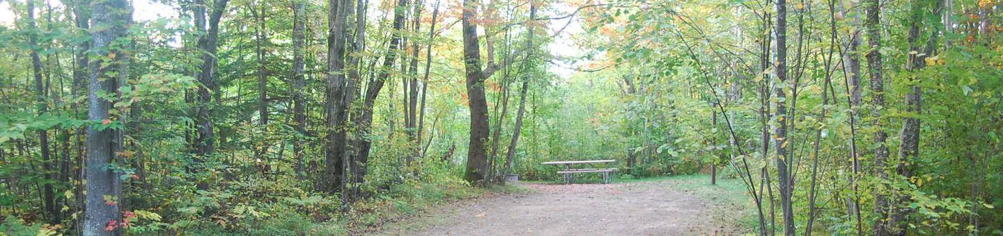 Bay Furnace Campground site #03; heavily treed site with picnic table and fire pit. 