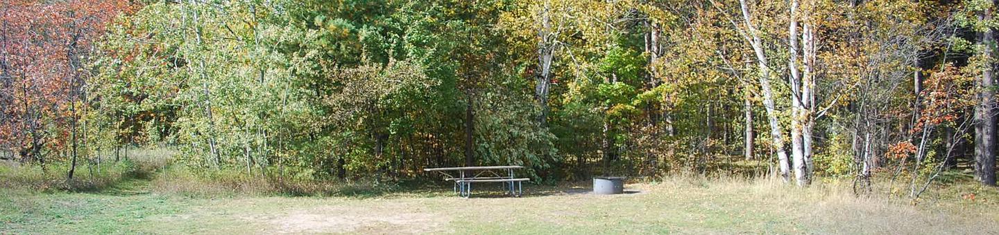 Bay Furnace Campground site #07; heavily treed site with picnic table and fire pit. 