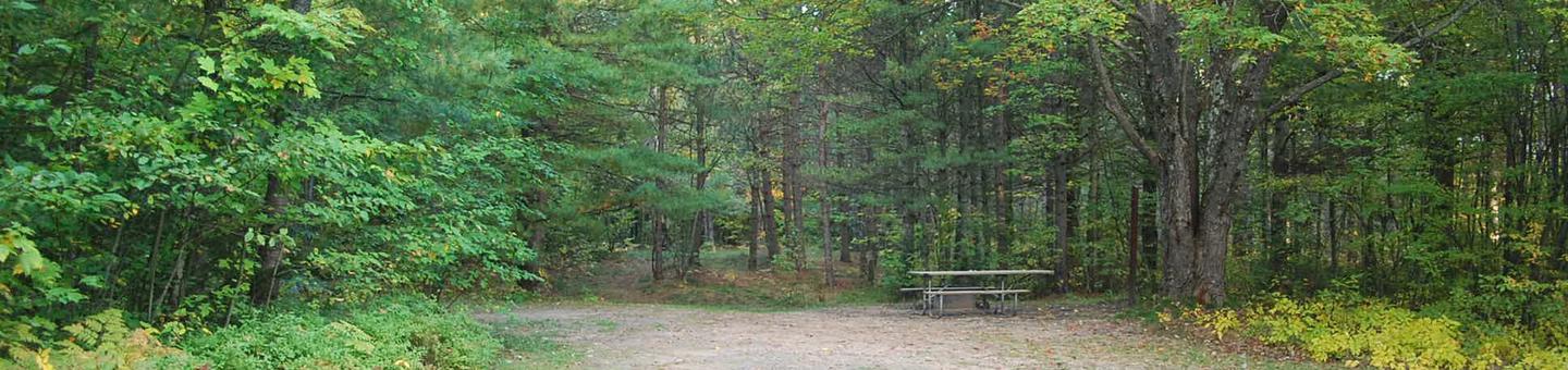 Bay Furnace Campground site #18; heavily treed site with picnic table and fire pit. 