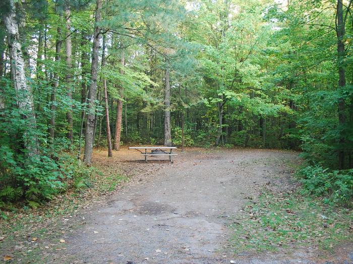 Bay Furnace Campground site #19; heavily treed site with picnic table and fire pit. 