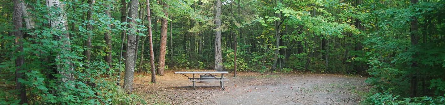 Bay Furnace Campground site #19; heavily treed site with picnic table and fire pit. 