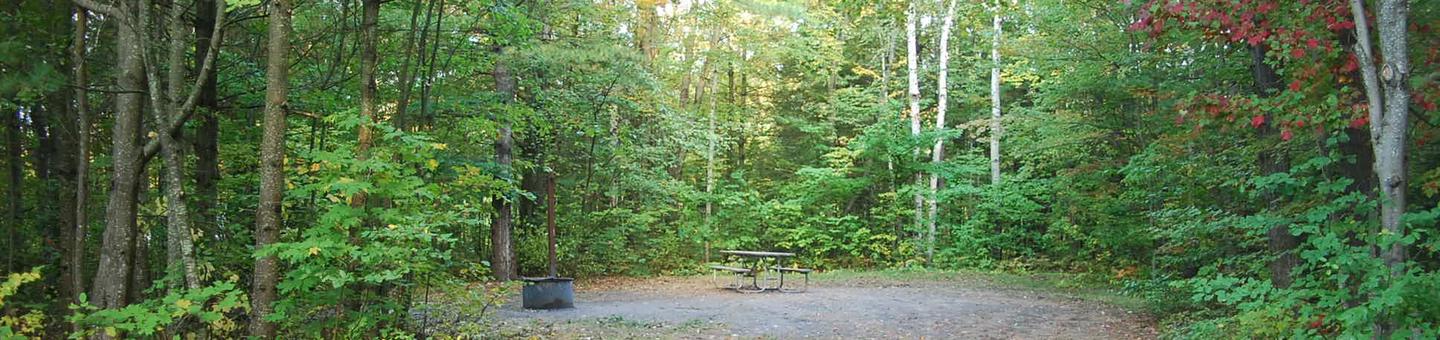Bay Furnace Campground site #21; heavily treed site with picnic table and fire pit. 