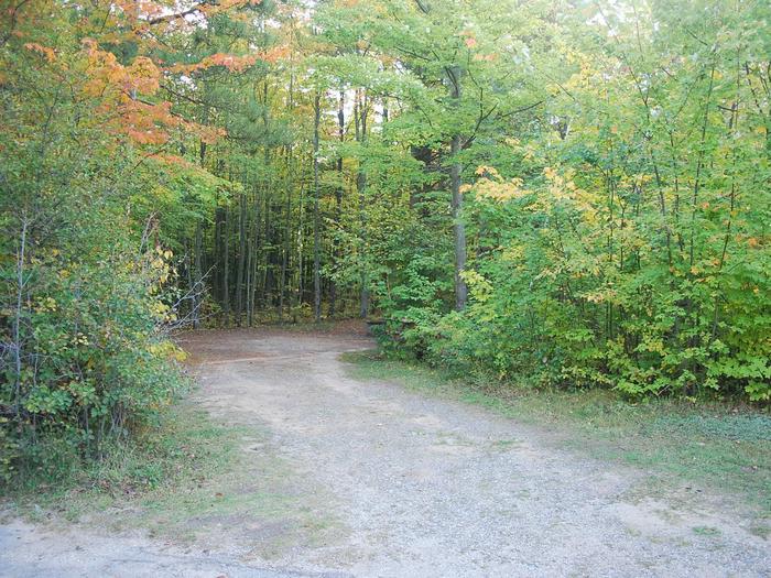 Bay Furnace Campground site #22; heavily treed site with picnic table and fire pit. 