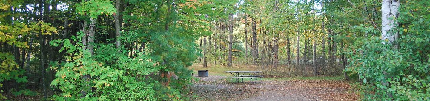 Bay Furnace Campground site #26; heavily treed site with picnic table and fire pit. 