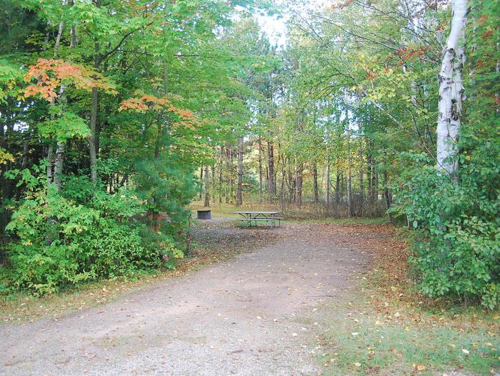 Bay Furnace Campground site #26; heavily treed site with picnic table and fire pit. 