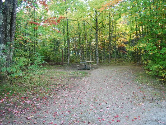 Bay Furnace Campground site #36; heavily treed site with picnic table and fire pit. 