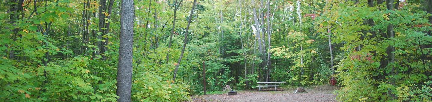 Bay Furnace Campground site #38; heavily treed site with picnic table and fire pit. 
