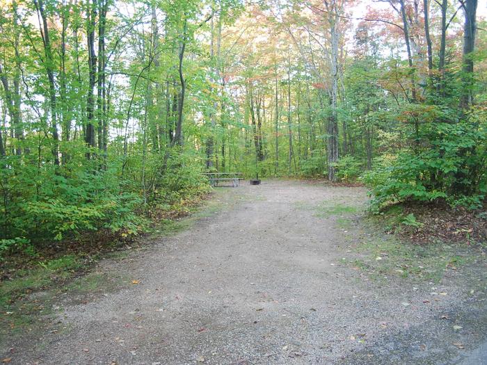Bay Furnace Campground site #39; heavily treed site with picnic table and fire pit. 