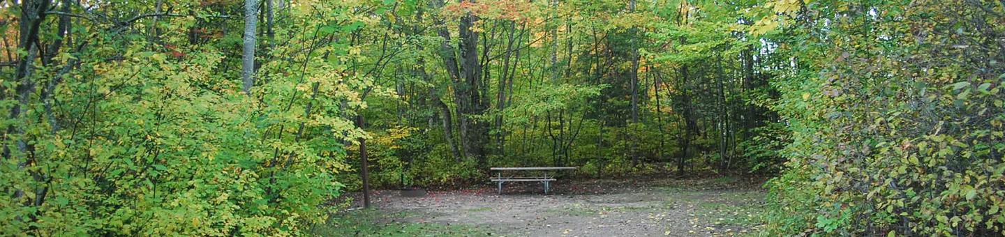 Bay Furnace Campground site #43; heavily treed site with picnic table and fire pit. 