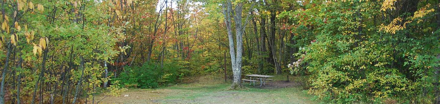 Bay Furnace Campground site #45; heavily treed site with picnic table and fire pit. 