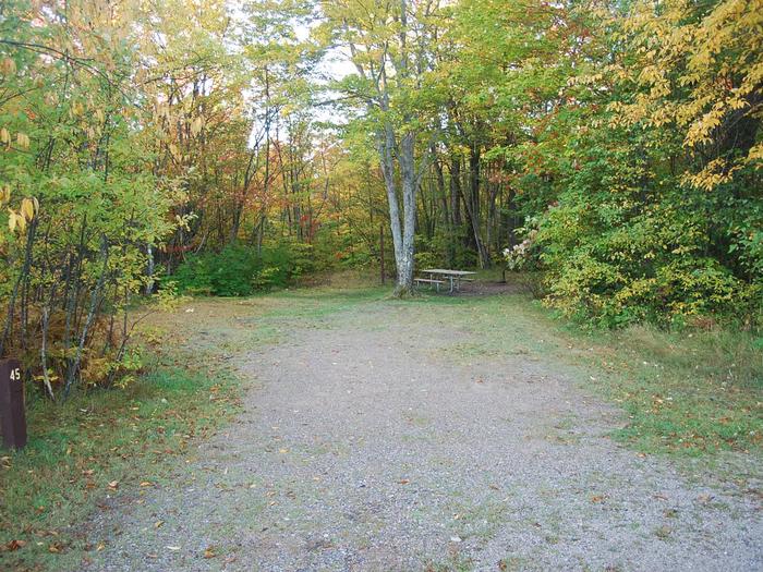Bay Furnace Campground site #45; heavily treed site with picnic table and fire pit. 