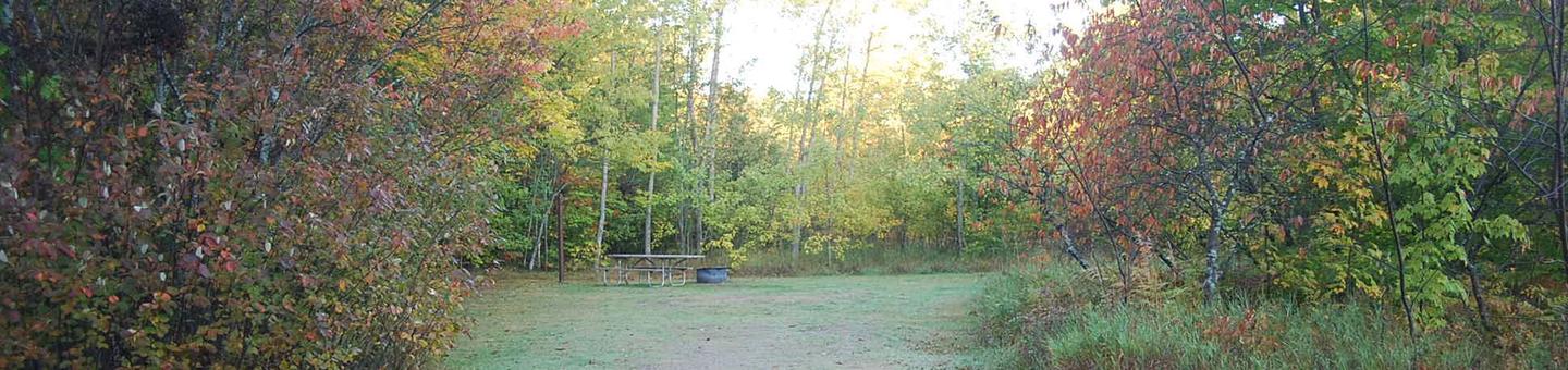 Bay Furnace Campground site #46; heavily treed site with picnic table and fire pit. 