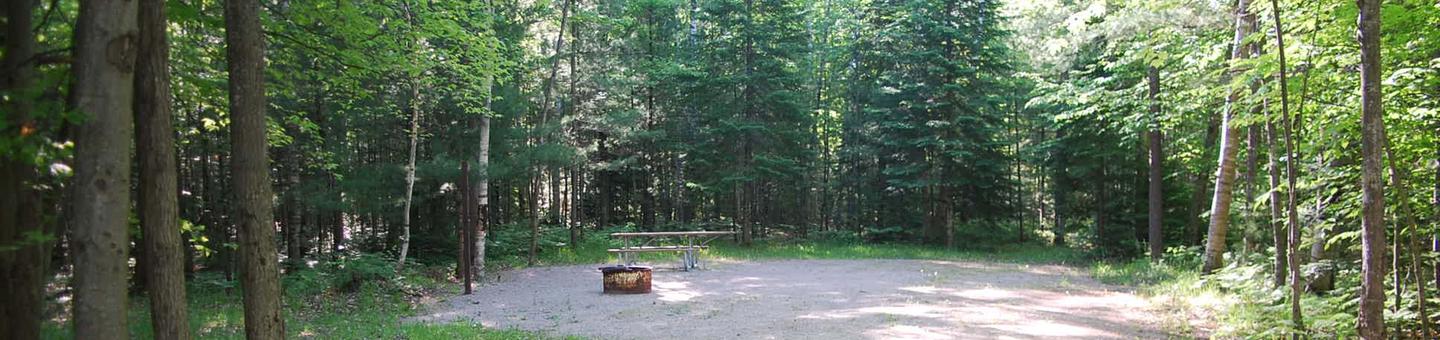 Camp Seven Campground site #09 picnic table and fire pit among the trees.