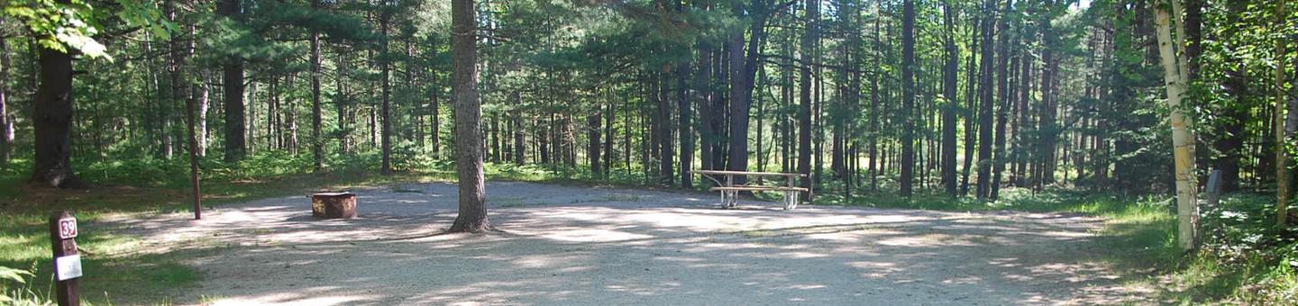 Camp Seven Campground site #39 picnic table and fire pit among the trees.