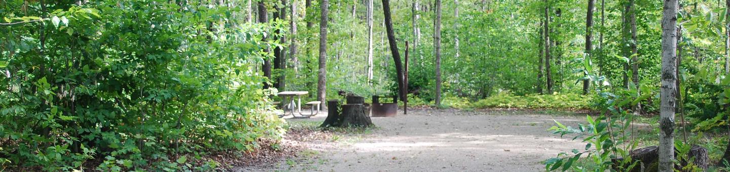 Colwell Lake Campground site #12