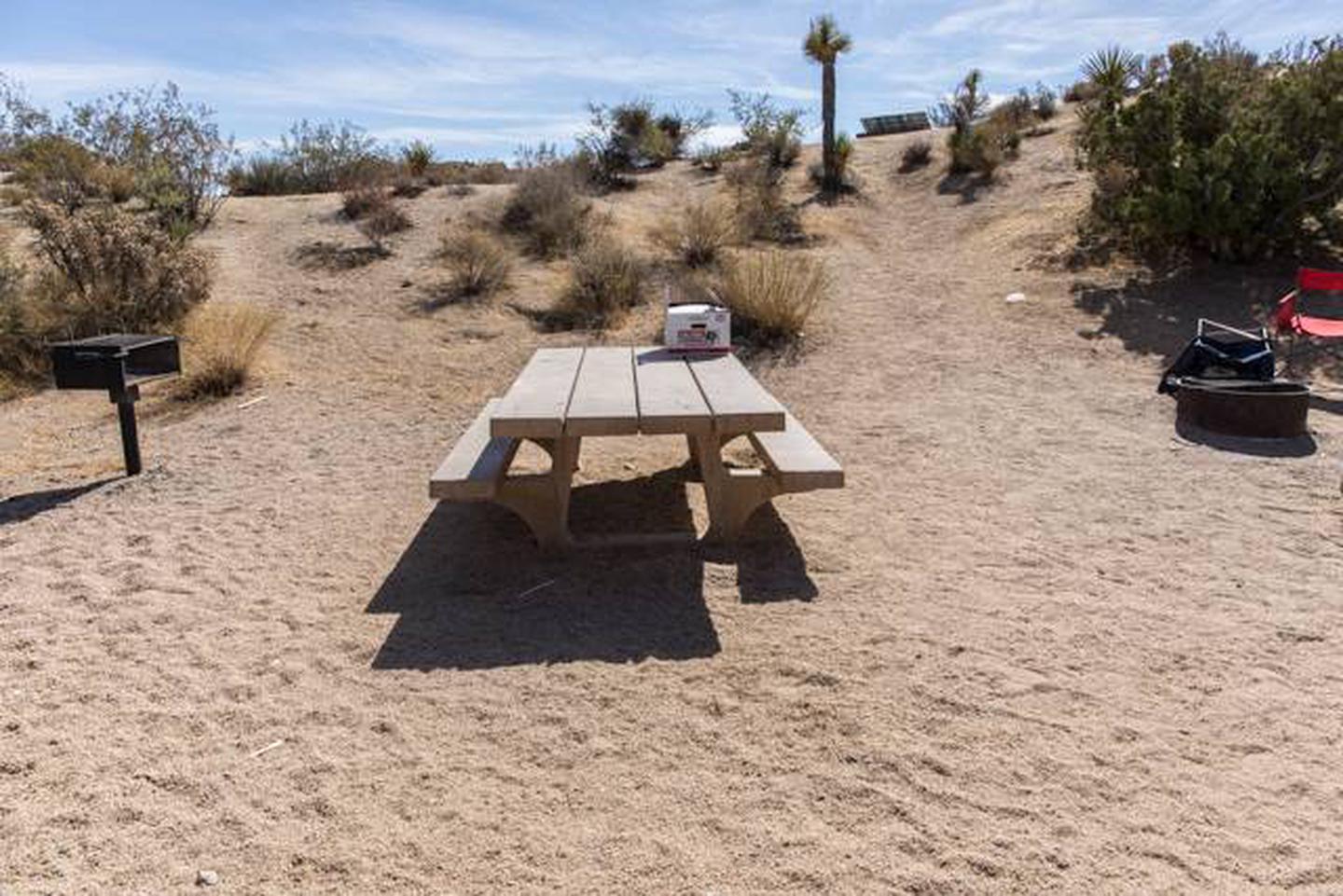 Grill, picnic table and fire ring, with a view of creosote and a Joshua TreeCampsite 94 view of the desert