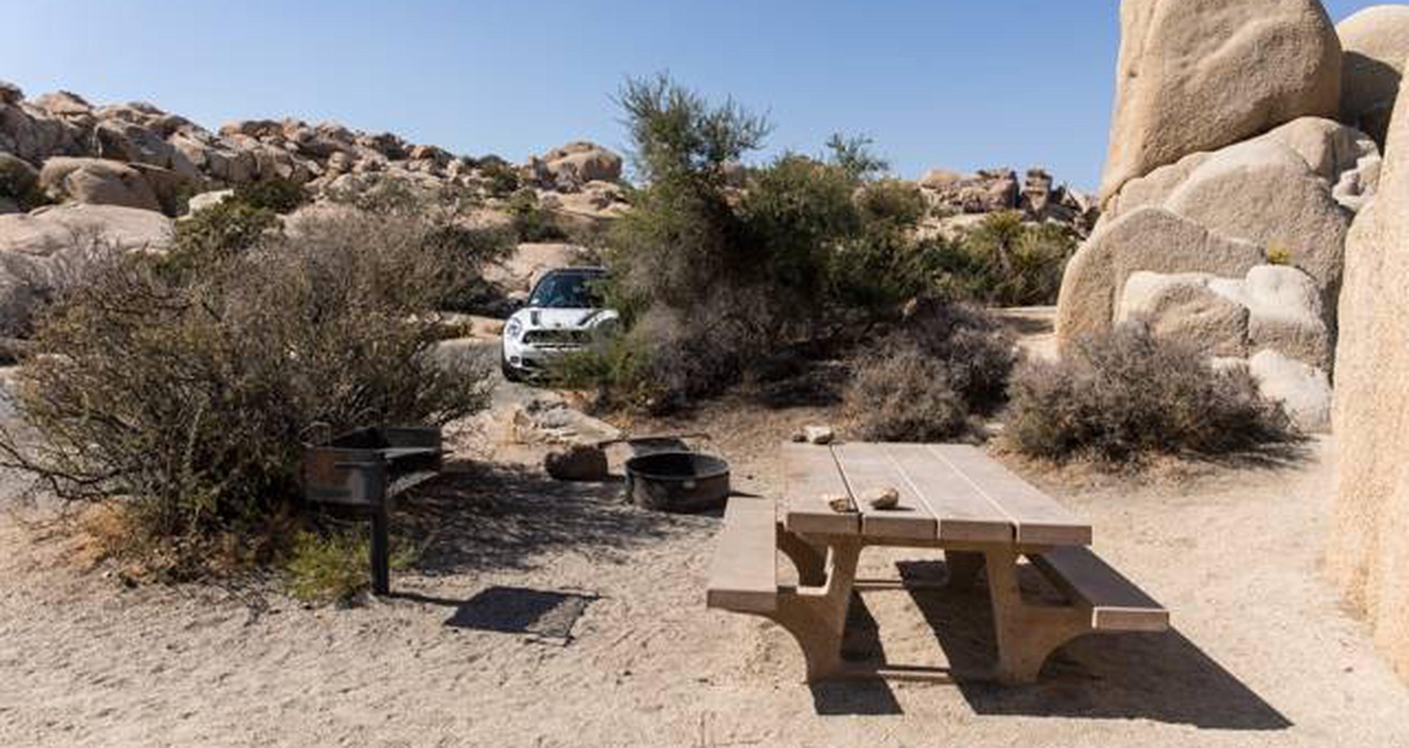 Site 121, Jumbo Rocks Campground - Recreation.gov