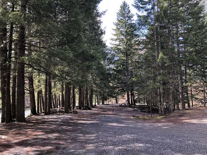 Gravel road lined by tall trees at entrance to Gorge Lake CampgroundEntrance to Gorge Lake Campground