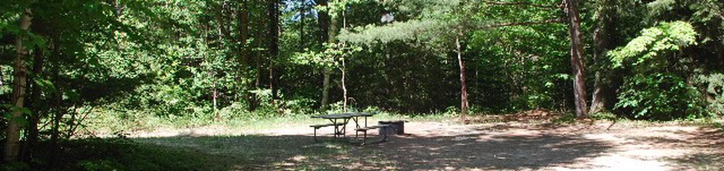 Widewaters Campground site #06