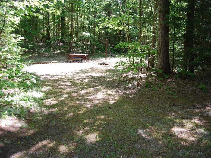 Widewaters Campground site #10