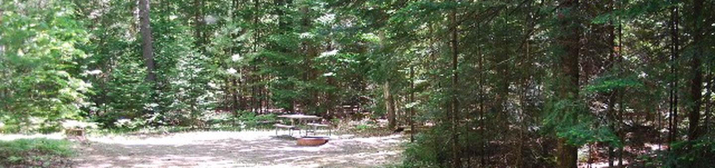 Widewaters Campground site #12