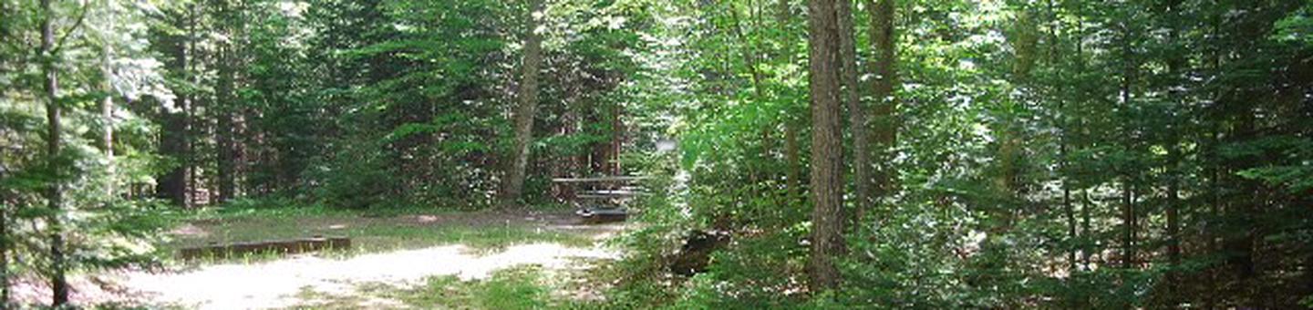 Widewaters Campground site #14