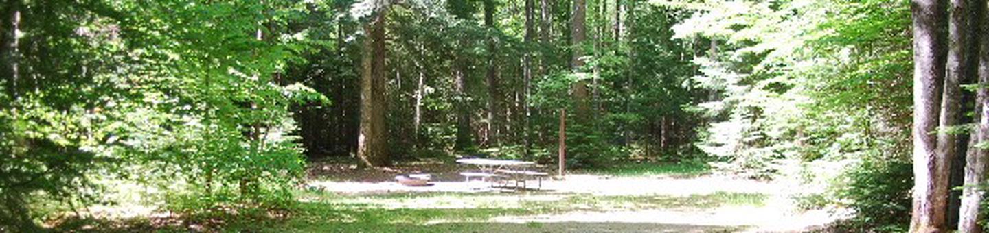 Widewaters Campground site #18
