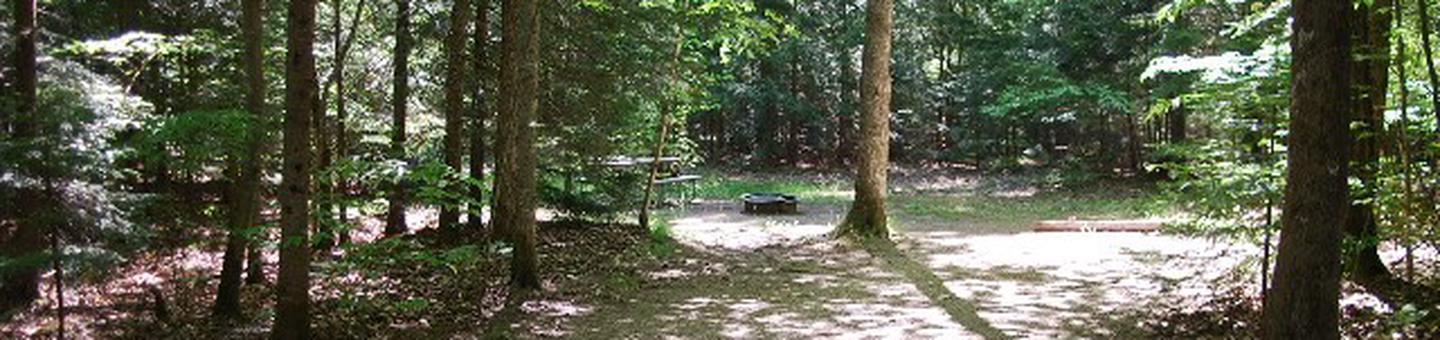 Widewaters Campground site #21