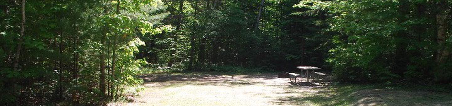 Widewaters Campground site #31