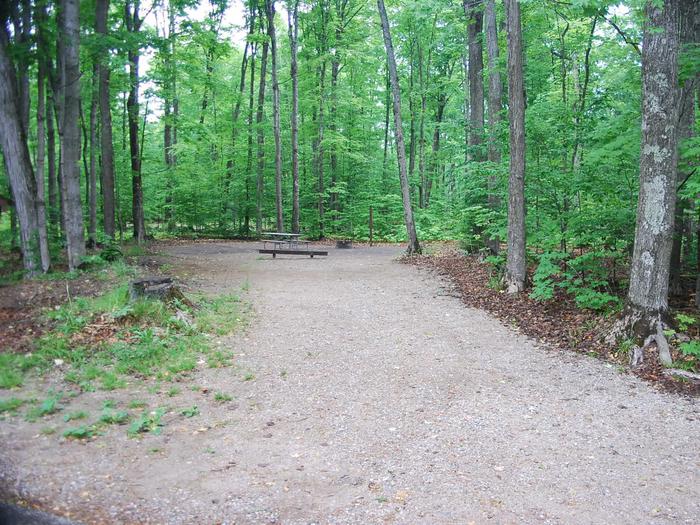 Pete's Lake Campground site #01