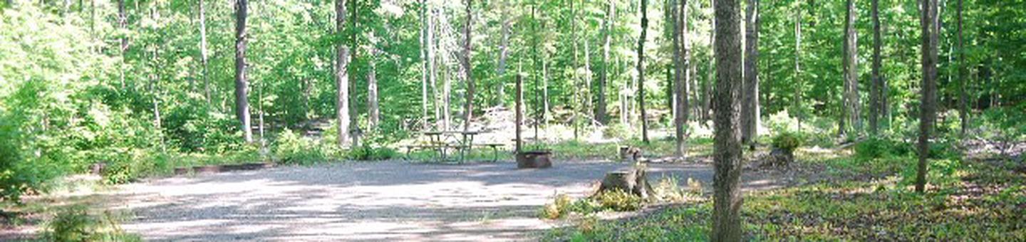Pete's Lake Campground site #03