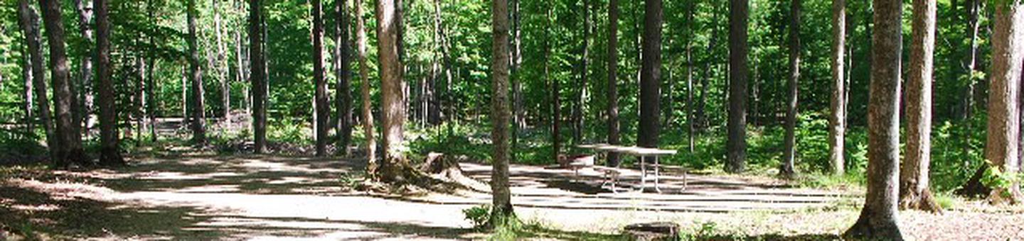 Pete's Lake Campground site #04