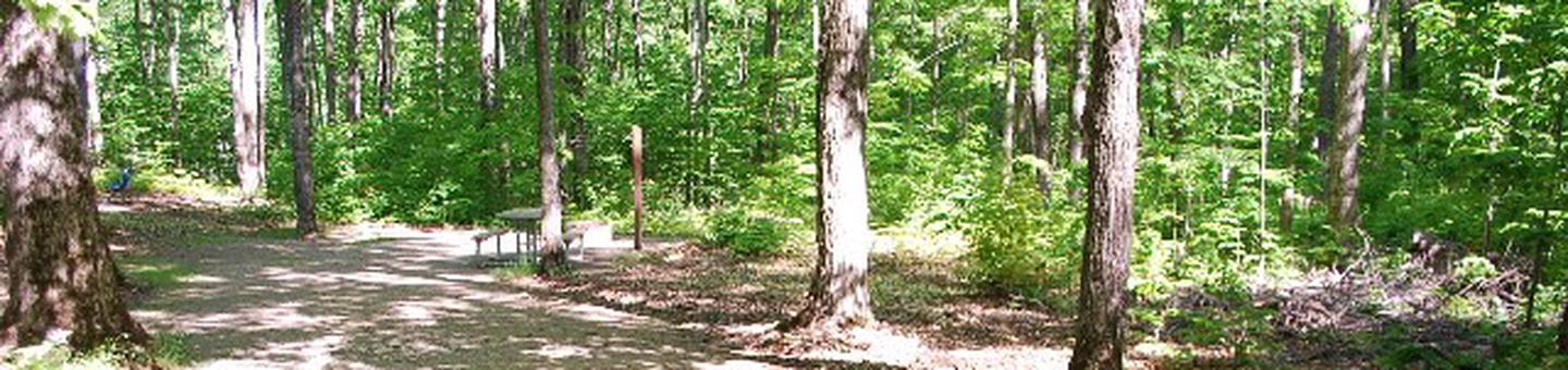 Pete's Lake Campground site #06
