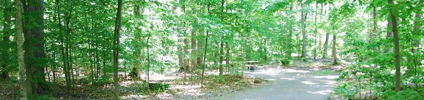 Pete's Lake Campground site #11