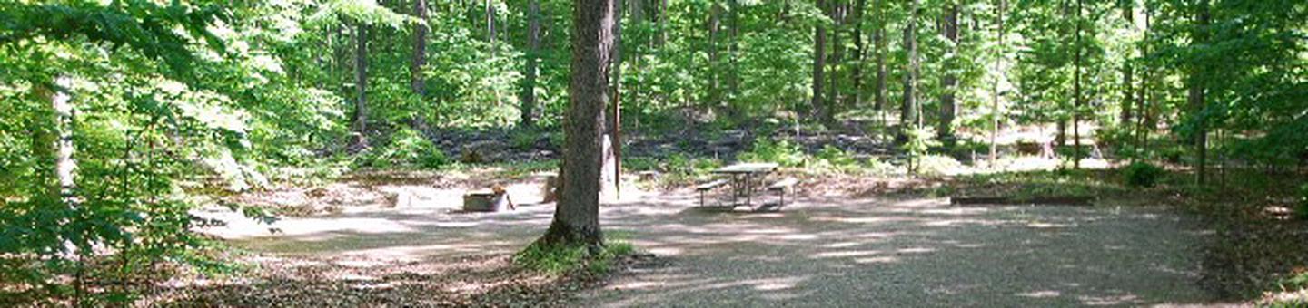 Pete's Lake Campground site #12