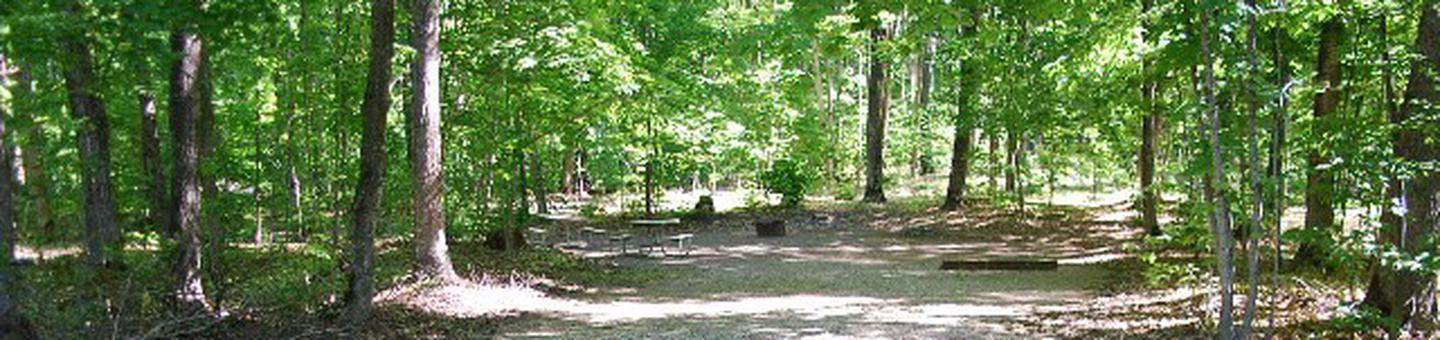 Pete's Lake Campground site #14D