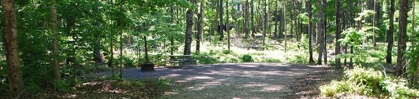 Pete's Lake Campground site #15