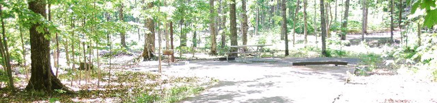 Pete's Lake Campground site #16