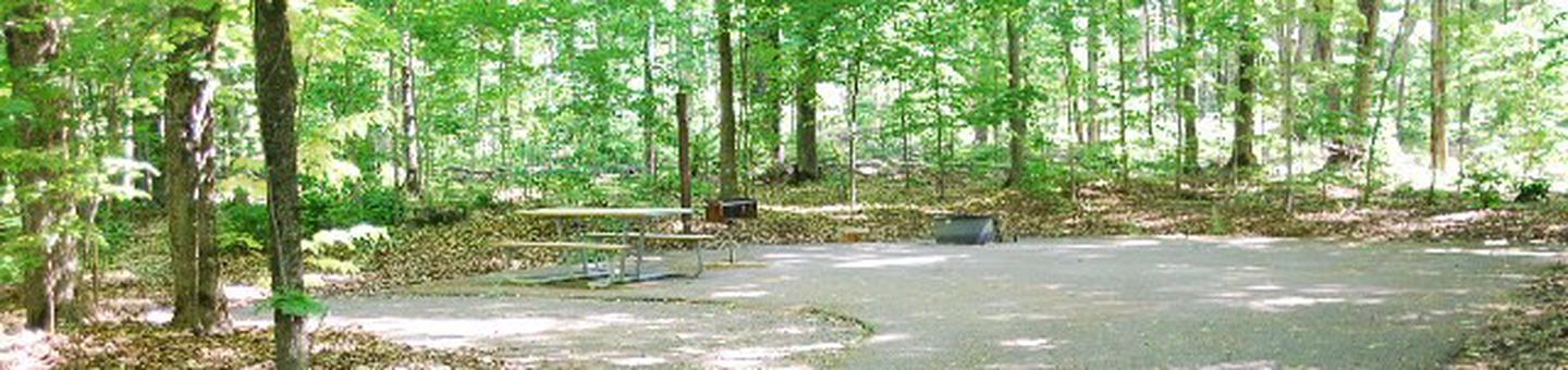 Pete's Lake Campground site #17