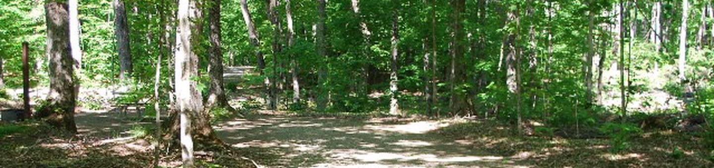 Pete's Lake Campground site #21