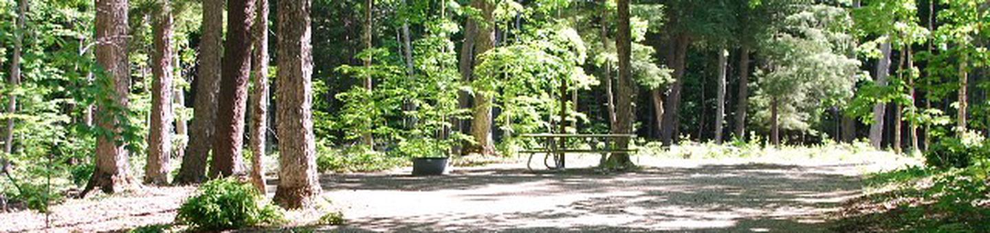 Pete's Lake Campground site #23