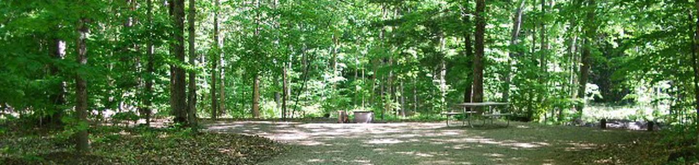 Pete's Lake Campground site #25