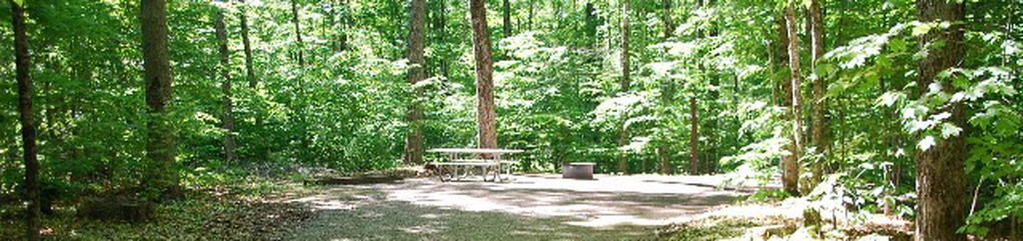 Pete's Lake Campground site #24